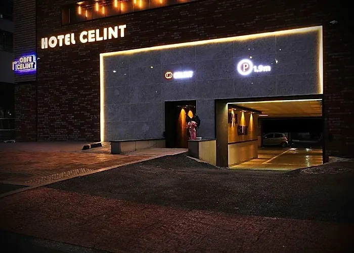 Hotel Celint Seul